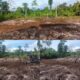 TMMD Ke-129 Tuntaskan Pembukaan Lahan 1 Hektar, Siap Ditanami untuk Perkuat Ketahanan Pangan Kampung Sesor