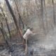 Bhabinkamtibmas Bersama Warga Berjibaku Padamkan Kebakaran Lahan di Kawasan Hutan Pinus Latimojong