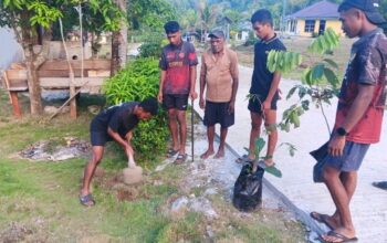 TMMD Ke-129 Kodim 1807/Sorsel, TNI dan Warga Tanam Pohon Bersama untuk Hijaukan Kampung Sesor