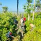 Babinsa Koramil 1413-04/Mawasangka Bersama Warga Bersihkan Akses Jalur Sumber Air di Desa Lanto