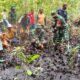 Menanam Hari Ini, Menjaga Masa Depan: Babinsa dan Warga Lasalimu Tanam Mangrove Demi Anak Cucu dan Kelestarian Alam
