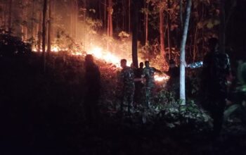 Kebakaran Lahan Warga di Lakambau, Gerak Cepat Babinsa dan Yon TP 871/La Maindo Hentikan Kobaran Api
