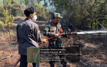 Prajurit Kodim 1412 Kolaka Gerak Cepat Padamkan Kebakaran Lahan Warga di Pomalaa
