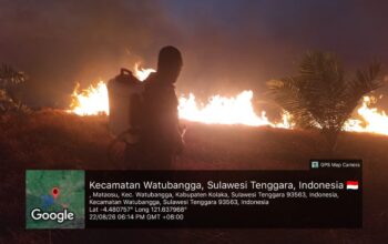 Babinsa Padamkan Kebakaran Lahan di Polinggona dengan Alat Seadanya