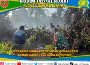 Aksi Sigap Babinsa Koramil 1417-09/Ranomeeto Bersama Warga Padamkan Kebakaran Lahan Gambut di Desa Lamomea