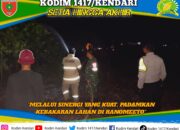 Sinergi Babinsa, Bhabinkamtibmas, Damkar, dan Warga Padamkan Kebakaran Lahan di Ranomeeto