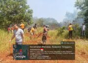 Babinsa Bersama Damkar dan Tim Rescue Jibaku Padamkan Kebakaran Lahan di Kolaka