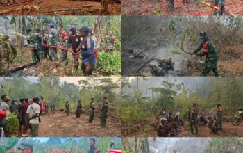 Gerak Cepat TNI dan Warga Padamkan Kebakaran Lahan di Momiwaren