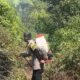 Tanggap Cepat, Bhabinkamtibmas Polsek Baraka Bersama Babinsa Dan Warga Padamkan Kebakaran Lahan
