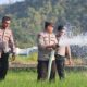 Menjawab Keluhan di Tengah Kekeringan, Kapolres Luwu Turun Membawa Air untuk Petani