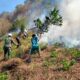 Karhutla Terjadi di Gunung Rano, Personel Gabungan Bergerak Padamkan Api