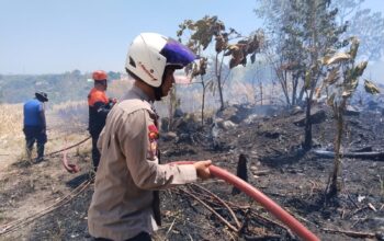 Polsek Bacukiki Bersama Brimob Bantu Tangani Kebakaran Pertashop dan Kebun Jagung di Bumi Harapan