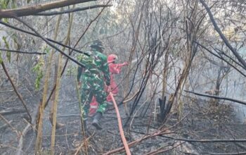 Babinsa Gerak Cepat Jinakkan Api, Kebakaran 4 Hektare Lahan di Tanggetada Berhasil Dipadamkan