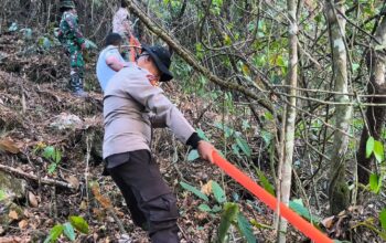 Respon Cepat, Personel Polsek Alla Bersinergi dengan TNI Hadapi Karhutlah