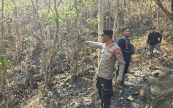 Satgas Karhutla Polres Soppeng Tinjau Kebakaran Gunung Sewo, Penyelidikan Penyebab Api Terus Dilakukan