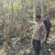 Satgas Karhutla Polres Soppeng Tinjau Kebakaran Gunung Sewo, Penyelidikan Penyebab Api Terus Dilakukan