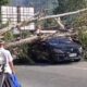 Pohon Tumbang Timpa Mobil Dan Motor Di Jalan Poros Palopo–makassar, Satu Warga Luka Ringan