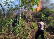Gerak Cepat Bersama, Titik Api Dua Hektare Lahan Kamelanta Berhasil Dipadamkan