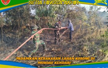 Sinergi TNI, Polri, Damkar, dan Warga Padamkan Kebakaran Lahan Kosong di Mokoau Kendari