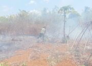 Kobaran Api di Padangkuku Berhasil Dikendalikan, Babinsa dan Warga Bergerak Cepat