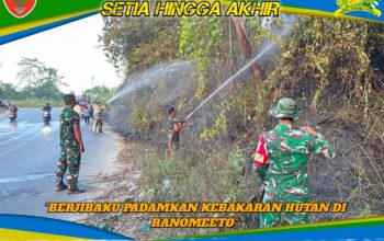 Sinergi TNI, Damkar, dan Masyarakat Berjibaku Padamkan Kebakaran Hutan di Ranomeeto