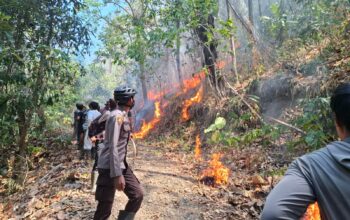 Bhabinkamtibmas Polsek Enrekang Briptu Muh. Aqsa, S.H. Hadir Bantu Warga Tangani Karhutla