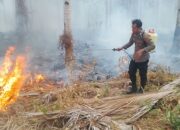 Dua Titik Karhutla Terjadi Bersamaan di Bangketa, Polsek Nuhon Turun Tangan