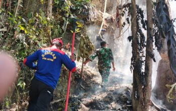 Babinsa Batauga Bantu Padamkan Kebakaran Lahan Warga di Lawela Selatan
