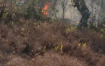 Babinsa dan Warga Bergerak Cepat Kendalikan Kebakaran Lahan di Holimombo