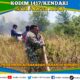 Sinergi Babinsa Koramil Lambuya dan Tim Gabungan Padamkan Kebakaran Lahan di Konawe