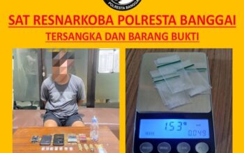 Terbukti Miliki 7 Paket Sabu, Seorang Pemuda di Bungin Timur, Luwuk Diciduk Polisi