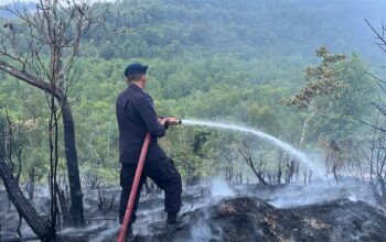 SATBRIMOB POLDA KEPRI GERAK CEPAT PADAMKAN KEBAKARAN LAHAN DI TIWANGKANG