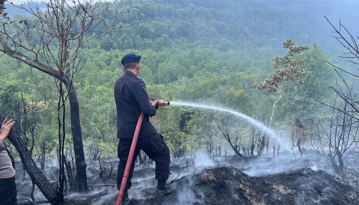 SATBRIMOB POLDA KEPRI GERAK CEPAT PADAMKAN KEBAKARAN LAHAN DI TIWANGKANG