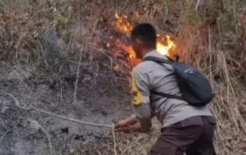 Bhabinkamtibmas Bersama Tim Gabungan Padamkan Dua Titik Api Karhutla di Pegunungan Salu Lovu Sigi, Penanganan Dilanjutkan Pagi Ini