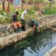 Tingkatkan Kepedulian Lingkungan, Babinsa Koramil 1417-08/Mandonga Kerja Bakti Bersihkan Kali BTN Lacinta 2