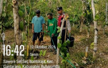 Dampak Kemarau, Bhabinkamtibmas Polres Bulukumba Bantu Warga Siram Tanaman Merica