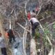 Berkat Sinergi Polri dan Tim Gabungan, Karhutla di Lereng Gunung Sidoe Berhasil Dipadamkan
