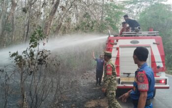 Bergerak Cepat Tangani Kebakaran, Gabungan Tim Babinsa-Damkar-BNPB Selamatkan Lahan Warga Busoa