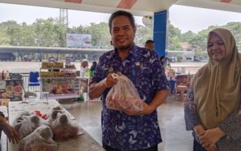 Hadapi El Nino, Dinas Pertanian Maros Salurkan Hampir 500 Pompa Air, 3.000 Hektare Sawah Masuk MT3